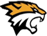 Tiger Soft BD logo